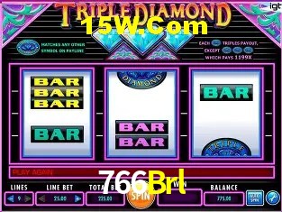 766Brl - Support